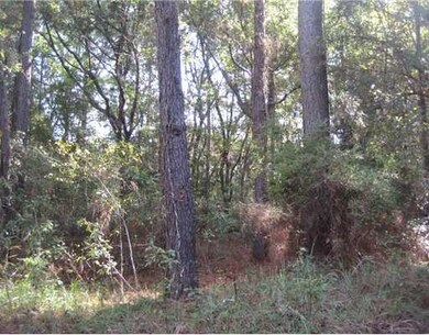 0 Windrow Place, Moss Point, MS 39562 - photo 7