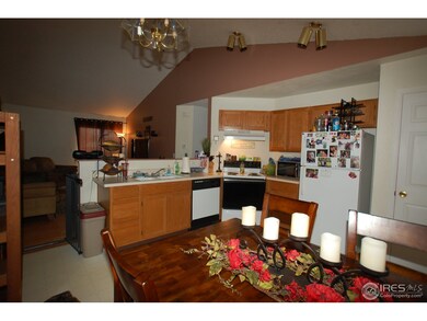 4159 S Himalaya Way, Aurora, CO 80013 - photo 6