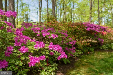 2404 Bugle Ln, Reston, VA 20191 - photo 4