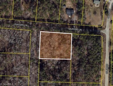 4103 Duffers Ln, Greensboro, NC 27407 - photo 3