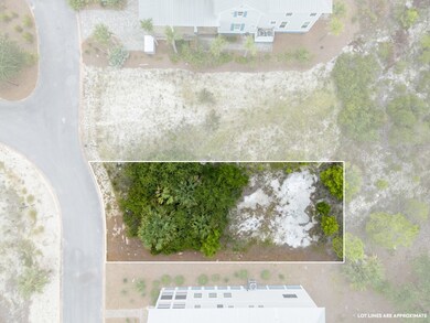 359 Cord Grass Way, Port St. Joe, FL 32456 - photo 3