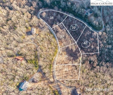 Lots 39 and 40 Snow Ridge Rd, Banner Elk, NC 28604 - photo 4