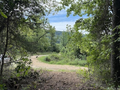 Tract 3/4 Terrapin Rd S, Harrison, AR 72601 - photo 6