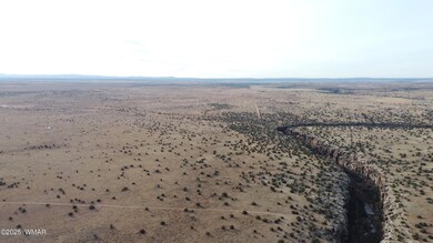 DJI_0095