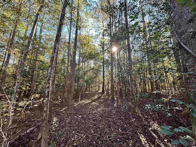 View of nature