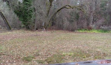 9888 W Evans Creek Rd, Rogue River, OR 97537 - photo 6