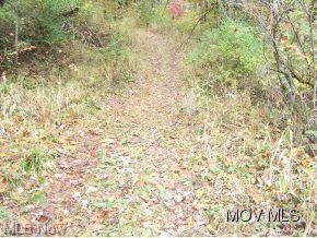 More trails