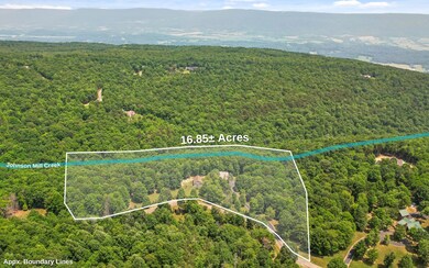 Aerial of Property Lines