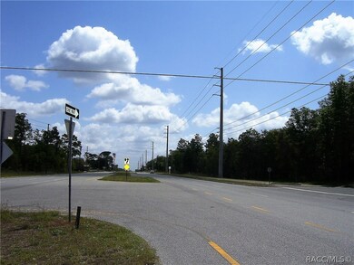 1990 E Norvell Bryant Hwy, Hernando, FL 34442 - photo 6