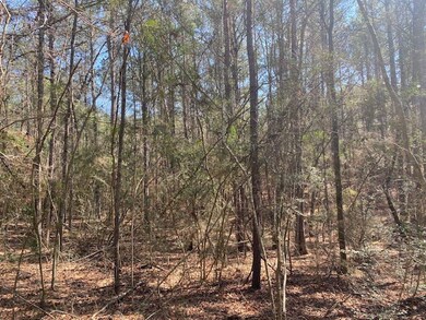 1064 Taylor Rd, Osyka, MS 39657 - photo 3