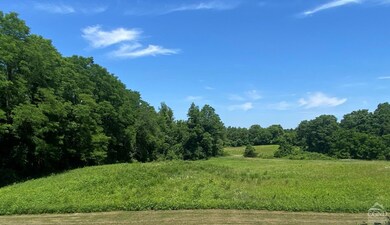 203 Nevis Rd, Tivoli, NY 12583 - photo 2