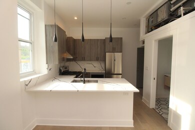 449 N Elizabeth St unit 2S, Chicago, IL 60642 - photo 5