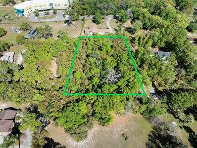 3407 Robinson St, Zellwood, FL 32798 - photo 2