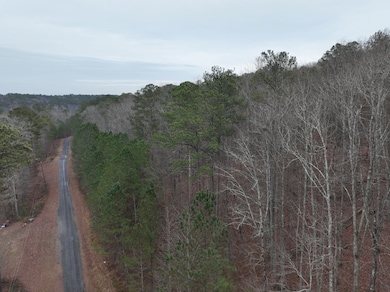 0 Henderson Rd unit 25383633, Odenville, AL 35120 - photo 5