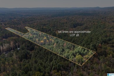 268 Nichols Rd, Chelsea, AL 35043 - photo 7