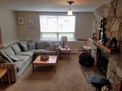 5 Northbrook Village Rd unit A15, Dover, VT 05356 - photo 5