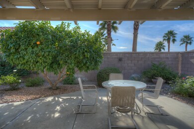 Photo-4