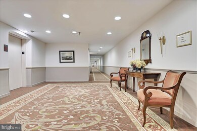 2331 Old Court Rd unit 401, Pikesville, MD 21208 - photo 4