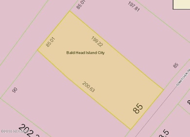 35 Dowitcher Trail, Bald Head Island, NC 28461 - photo 4