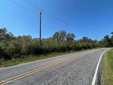 0 Summit Holmesville Rd, McComb, MS 39648 - photo 7