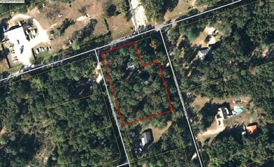 16 Andrew J Hargrett Sr Rd, Crawfordville, FL 32327 - photo 2