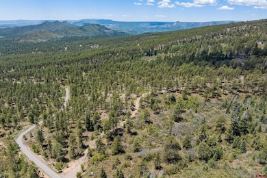 2511 Taylor Ranch Rd, Durango, CO 81301 - photo 3