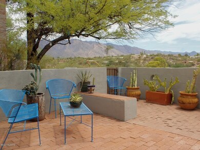 Back Patio 3