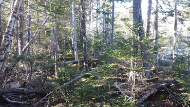 20181205_125250_resized