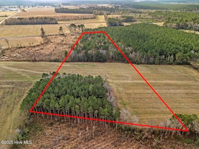 1 Piney Woods Rd, Burgaw, NC 28425 - photo 3