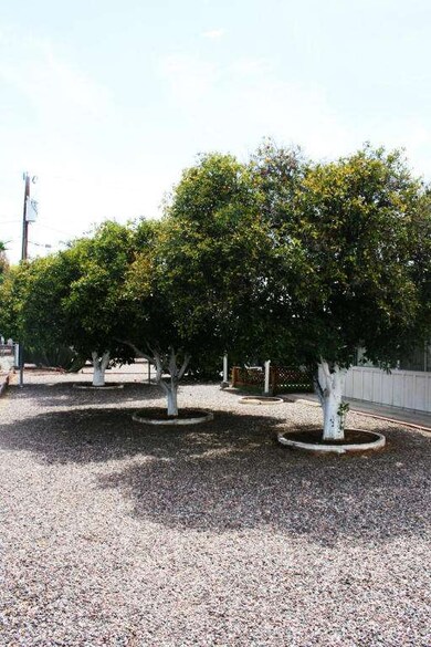 9944 W Hope Cir S, Sun City, AZ 85351 - photo 6