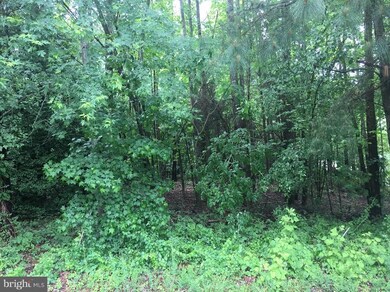 1366 Solomons Island Rd, Huntingtown, MD 20639 - photo 2