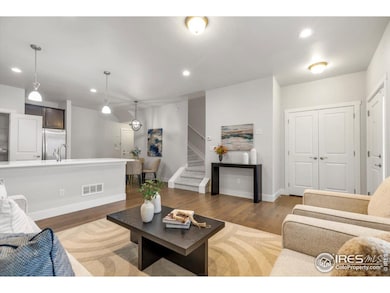 709 Robert St, Longmont, CO 80503 - photo 5