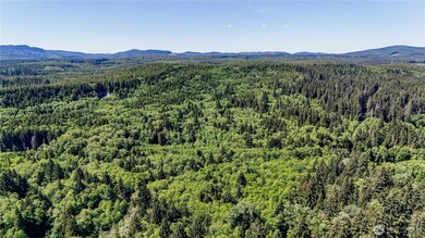 99994 Dowan Creek Rd, Forks, WA 98331 - photo 6