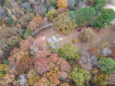 7655 Baptist Campground Rd, Northport, AL 35473 - photo 2