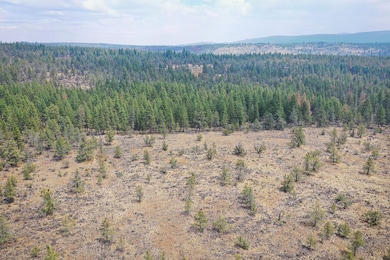 0 Chicken Hawk unit 25693802, Bonanza, OR 97623 - photo 6