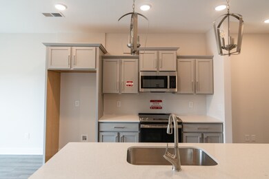 622 Southern Pass Run, Clarksville, TN 37043 - photo 6