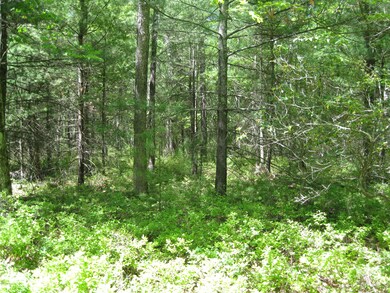 Parcel 2 Frenchtown Rd, Milford, PA 18337 - photo 6