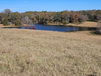 0 County Road 3513, Brownsboro, TX 75756 - photo 3