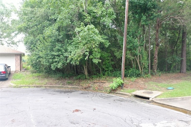 TBD Brinwood Place, Livingston, TX 77351 - photo 3