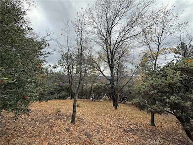 0 Yosemite Dr, Lake Arrowhead, CA 92352 - photo 5