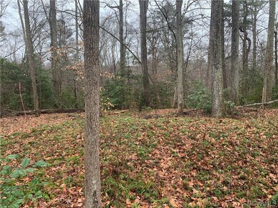 TBD N Anna Dr, Ruther Glen, VA 22546 - photo 2