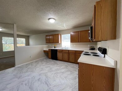 8305 Swan Park Dr, Denton, TX 76210 - photo 5