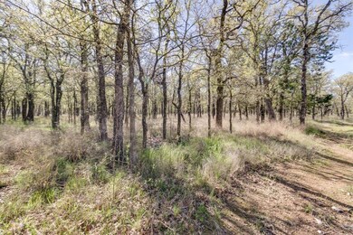 290 Norman Dr, Millsap, TX 76066 - photo 4