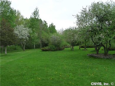Yard/Garden