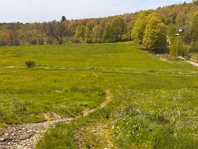 Trail down to brook and back field