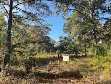 16600 Stacey Rd, Bay Minette, AL 36507 - photo 3