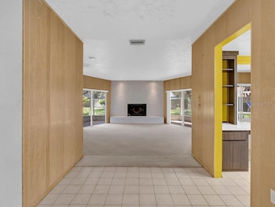 4509 Hickory Creek Ln, Brandon, FL 33511 - photo 6