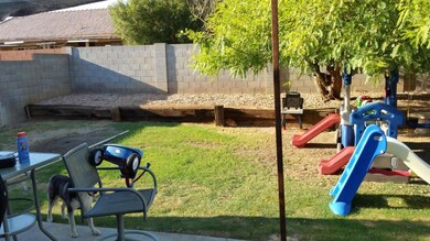 BACK YARD