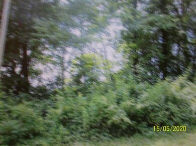 0 Redbird Ln, Rutledge, TN 37861 - photo 5