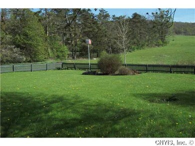 Yard/Garden Fenced in back yard
